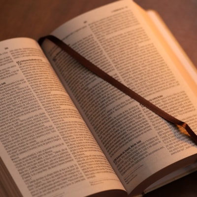 image_8f2b6540-9aa7-4fc1-be36-19129a63dba0