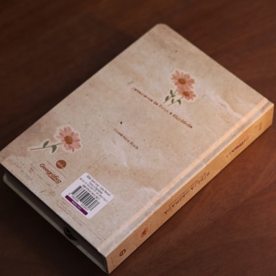 image_363d9c3d-adcf-470c-9a0c-d54b1541b60b