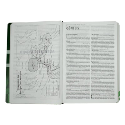 image_cfda66e3-6466-4c92-8244-1239592864d8