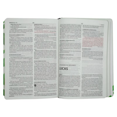 image_b1ef8b61-4ee6-46e5-9ba7-5c06b6ecdc64