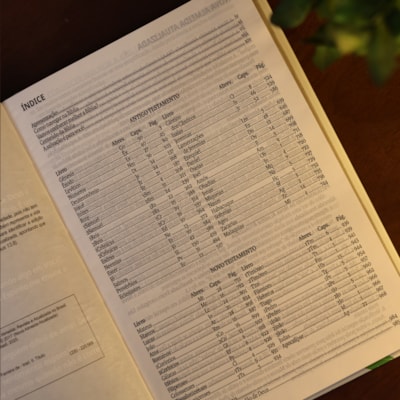 image_524ab829-d71b-4fda-8af7-fa2765e17905