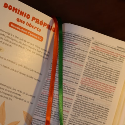 image_9fdd162c-98a2-42e7-9a66-ffbea5009a0d