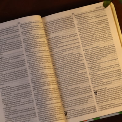 image_7609e539-8fb6-4c4d-a1c3-10bacda4dfbe