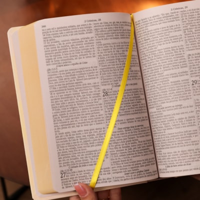 image_3f5b319b-22ac-4184-8e11-203c8e6c531c