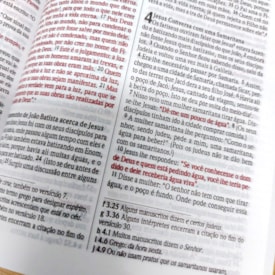 Segunda imagem do produto Bíblia Sagrada God is Love | NVI | Letra Normal | Capa Dura