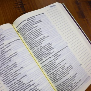 Bíblia Sagrada Graça | NVI | Letra Grande | Capa Dura com Espaço para Anotações