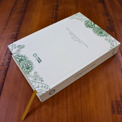 image_ce0fee56-dce9-4cfc-955c-fe7d01db1f68