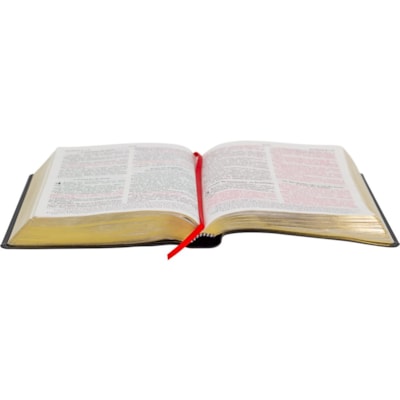 image_00c600f0-7ea0-426d-a7bc-fb8f6caaf8b6