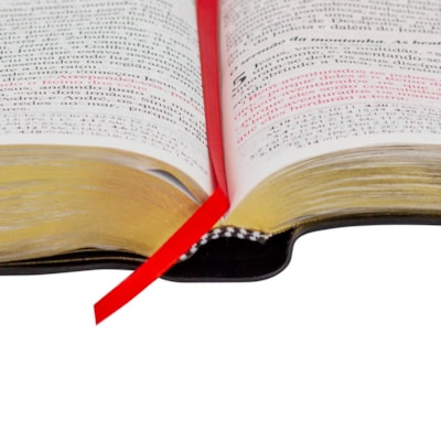 image_acf9896f-4035-497b-8ee5-064315b7270f