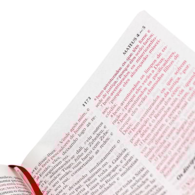 image_804529e4-3cf1-4272-9308-99d7e7e3ac71