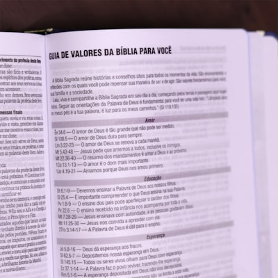 image_843493ff-87c1-4d95-a12d-0420b3d9f5d3