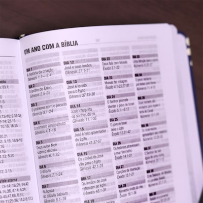 image_77308c9e-2653-4408-9b87-926b0fe37406