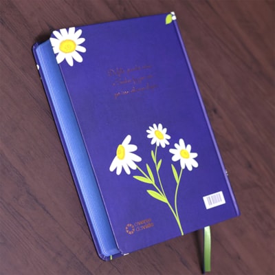 image_747ca2d1-c23a-4bb7-8abe-bfa0fcdaa894