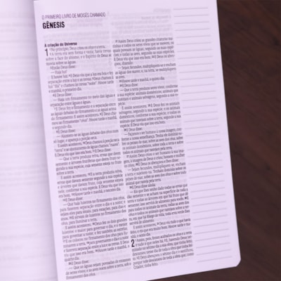 image_9448a73e-e2af-4d91-916f-b03498bc6848