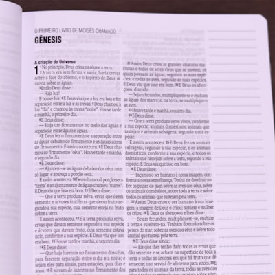 image_9640c914-c246-4f01-aa65-035913784546