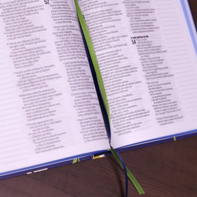 image_d6795204-bae2-4df2-93f5-88628e44bd8f