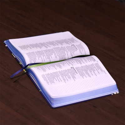 image_254ad33a-6fe2-4b8b-9a19-5c6796ac81ee