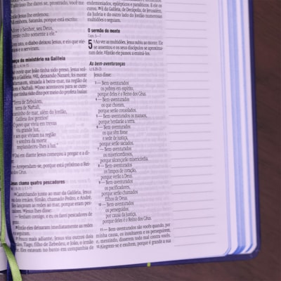 image_639726a0-0da9-4f25-82d6-ca28b1a9eec7