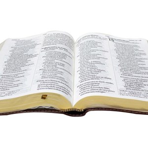 Bíblia Sagrada Grande | NAA | Letra Supergigante | Capa Luxo Marrom Nobre
