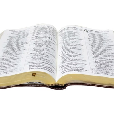 image_2554c835-7d1a-4f5d-885b-daebf36ff06c