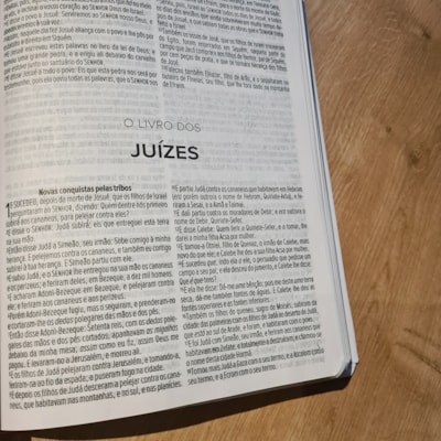 image_dd868fd6-df53-4942-825d-3e5699a55c88