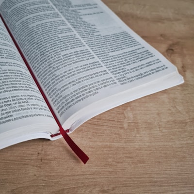 image_888f572e-0d81-4106-89d4-100ecfa0c48c