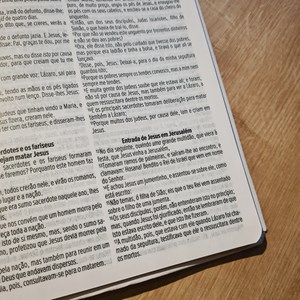 Bíblia Sagrada Habitou Entre Nós | ACF | Letra Maior | Capa Luxo