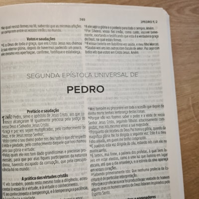 image_f89a702a-6413-4eb3-a8ca-9e2f41be1de5