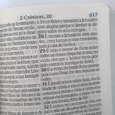 image_e92c2ae2-6f70-4dda-be1f-926233f3f600