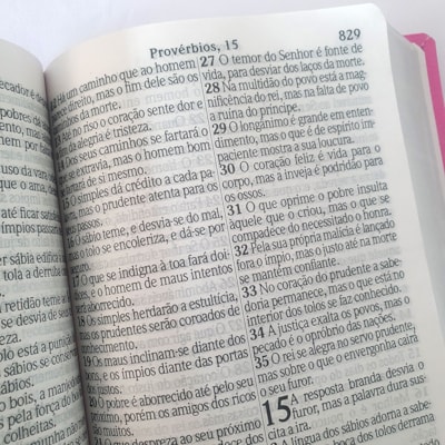 image_0111e4f8-adec-4766-8866-f8060de79a99