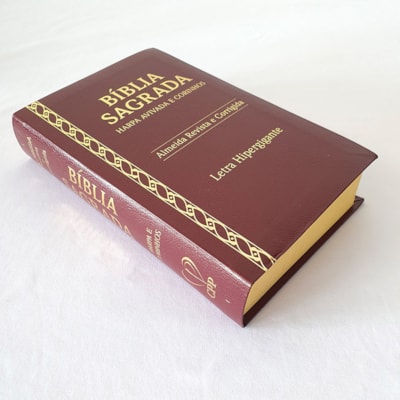 image_1aa3b8f7-2d2e-4a85-ae7a-65787baff10a