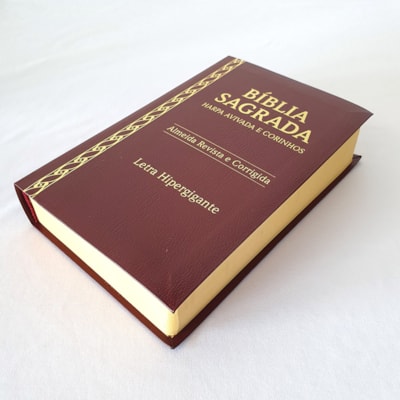 image_edc06e8c-d759-4d20-83f5-e35d83f2517c