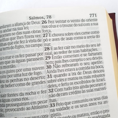 image_eac35d50-a0d3-45a4-896f-8996a3cd76d4