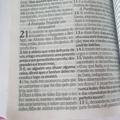 image_2775f4f5-f395-40d5-8dba-bf423c4ee268