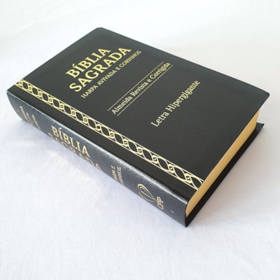 image_6bef9d88-2684-4ac3-9313-76d4d73e7ac9