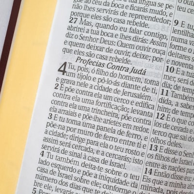 image_59543fcd-6c8b-4bca-aac1-e3919a44f930