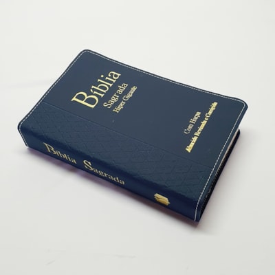 image_66a1cb63-e445-437d-b7ac-d6ceb0fdaddc