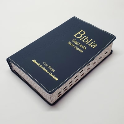 image_066c2b73-55c1-40fb-bf29-5ef8a80da3fd