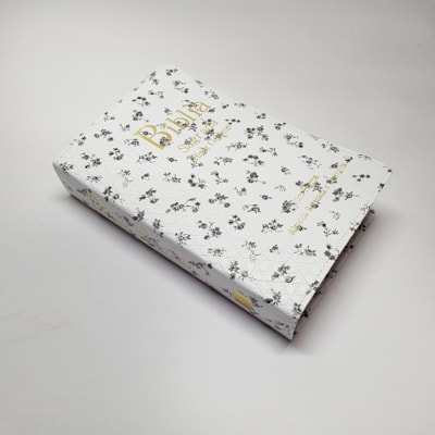 image_955b4d87-971c-4552-ae98-0cfaadf4f924