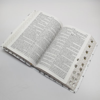 image_3d3ce6a7-4fad-4882-8f2e-d64f9bf64467