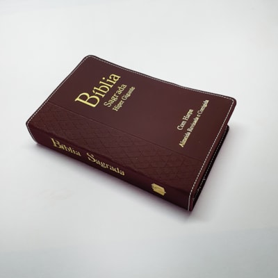 image_6a0142cc-4120-4970-93ed-e26541530824