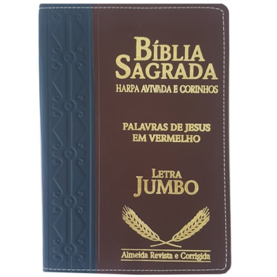 Imagem Principal - 7dca250c-3d87-4e0c-987b-b38df3f20fba