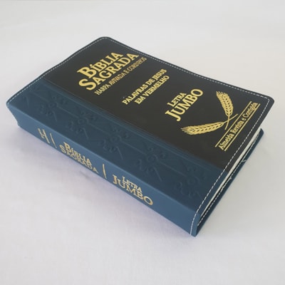 image_fb08e57a-6edd-4fc5-9734-bc5ec256da61