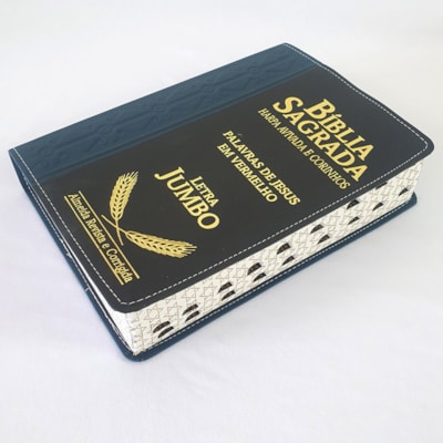 image_ee01536a-a013-4f61-ae94-c49d2b2193d6