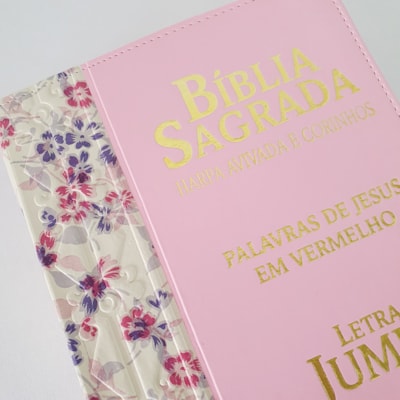 image_3156efd0-4a68-4a74-8553-03fd42e578dd