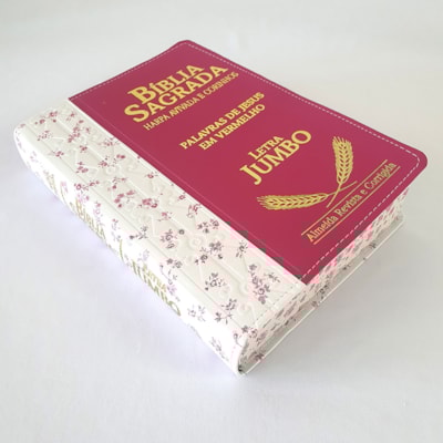 image_2c1fcc17-b0fa-4c51-be1c-a722faa35d70