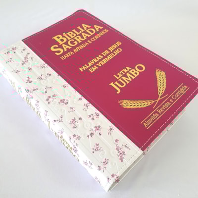 image_42569ddf-d3f6-4264-a6c6-caab93bb17a1