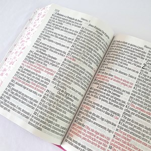 Bíblia Sagrada Harpa Avivada e Corinhos | ARC | Letra Jumbo | Índice | Bicolor Flores Rosa e Pink