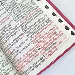 Bíblia Sagrada Harpa Avivada e Corinhos | ARC | Letra Jumbo | Índice | Bicolor Flores Rosa e Pink