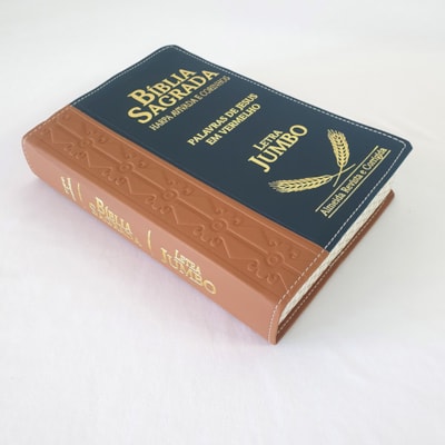 image_6076997b-c5f4-4a3b-b93b-2f34fefc5296